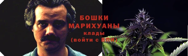 ECSTASY Лиски
