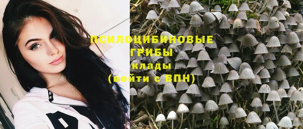 PSILOCYBIN Ладушкин